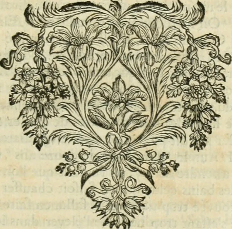 An illustration from Histoire des empereurs, et des autres princes qui ont regné durant les six premiers siècles de l'église, de leurs guerres contre les Juifs, des écrivains profanes, & des personnes les plus illustrés de leur temps Justifiée par les citations des auteurs originaux; avec des notes pour éclaircir les principales difficultés de l'histoire, 1700, leaf 508
