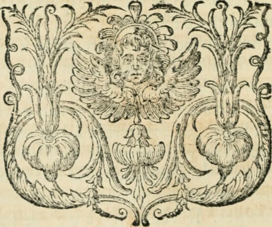 An illustration from Histoire des empereurs, et des autres princes qui ont regné durant les six premiers siècles de l'église, de leurs guerres contre les Juifs, des écrivains profanes, & des personnes les plus illustrés de leur temps Justifiée par les citations des auteurs originaux; avec des notes pour éclaircir les principales difficultés de l'histoire, 1700, leaf 207