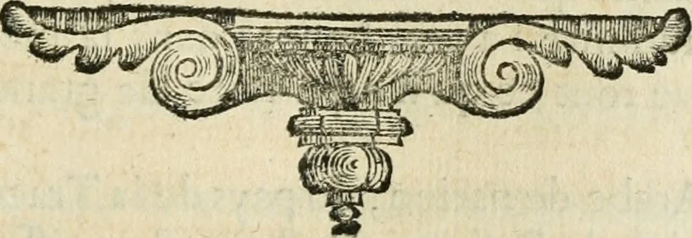 An illustration from Histoire des empereurs, et des autres princes qui ont regné durant les six premiers siècles de l'église, de leurs guerres contre les Juifs, des écrivains profanes, & des personnes les plus illustrés de leur temps Justifiée par les citations des auteurs originaux; avec des notes pour éclaircir les principales difficultés de l'histoire, 1700, leaf 342