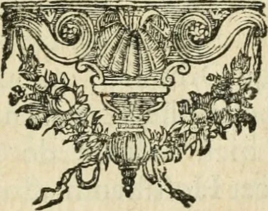 An illustration from Histoire des empereurs, et des autres princes qui ont regné durant les six premiers siècles de l'église, de leurs guerres contre les Juifs, des écrivains profanes, & des personnes les plus illustrés de leur temps Justifiée par les citations des auteurs originaux; avec des notes pour éclaircir les principales difficultés de l'histoire, 1700, leaf 358