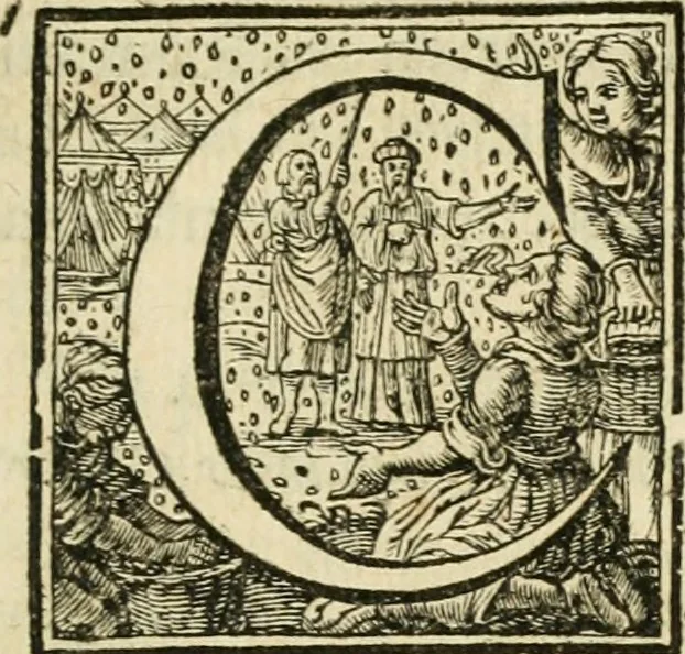 An illustration from Histoire des empereurs, et des autres princes qui ont regné durant les six premiers siècles de l'église, de leurs guerres contre les Juifs, des écrivains profanes, & des personnes les plus illustrés de leur temps Justifiée par les citations des auteurs originaux; avec des notes pour éclaircir les principales difficultés de l'histoire, 1700, leaf 426