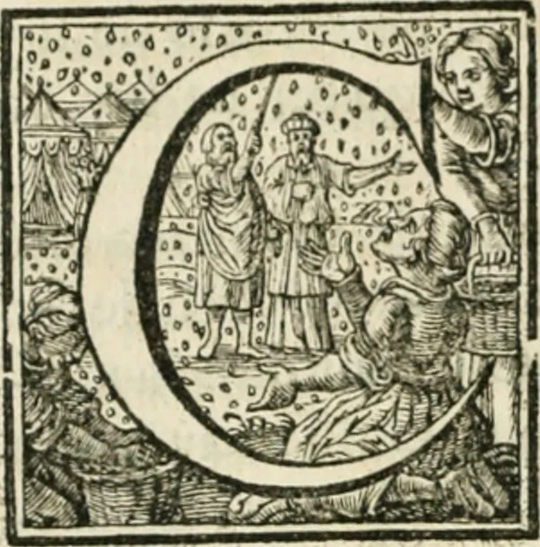 An illustration from Histoire des empereurs, et des autres princes qui ont regné durant les six premiers siècles de l'église, de leurs guerres contre les Juifs, des écrivains profanes, & des personnes les plus illustrés de leur temps Justifiée par les citations des auteurs originaux; avec des notes pour éclaircir les principales difficultés de l'histoire, 1700, leaf 529