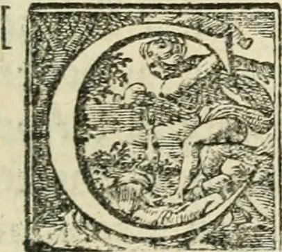 An illustration from Histoire des empereurs, et des autres princes qui ont regné durant les six premiers siècles de l'église, de leurs guerres contre les Juifs, des écrivains profanes, & des personnes les plus illustrés de leur temps Justifiée par les citations des auteurs originaux; avec des notes pour éclaircir les principales difficultés de l'histoire, 1700, leaf 628