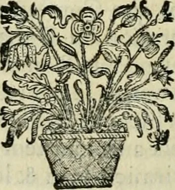 An illustration from Histoire des empereurs, et des autres princes qui ont regné durant les six premiers siècles de l'église, de leurs guerres contre les Juifs, des écrivains profanes, & des personnes les plus illustrés de leur temps Justifiée par les citations des auteurs originaux; avec des notes pour éclaircir les principales difficultés de l'histoire, 1700, leaf 219