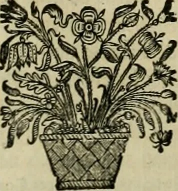 An illustration from Histoire des empereurs, et des autres princes qui ont regné durant les six premiers siècles de l'église, de leurs guerres contre les Juifs, des écrivains profanes, & des personnes les plus illustrés de leur temps Justifiée par les citations des auteurs originaux; avec des notes pour éclaircir les principales difficultés de l'histoire, 1700, leaf 278