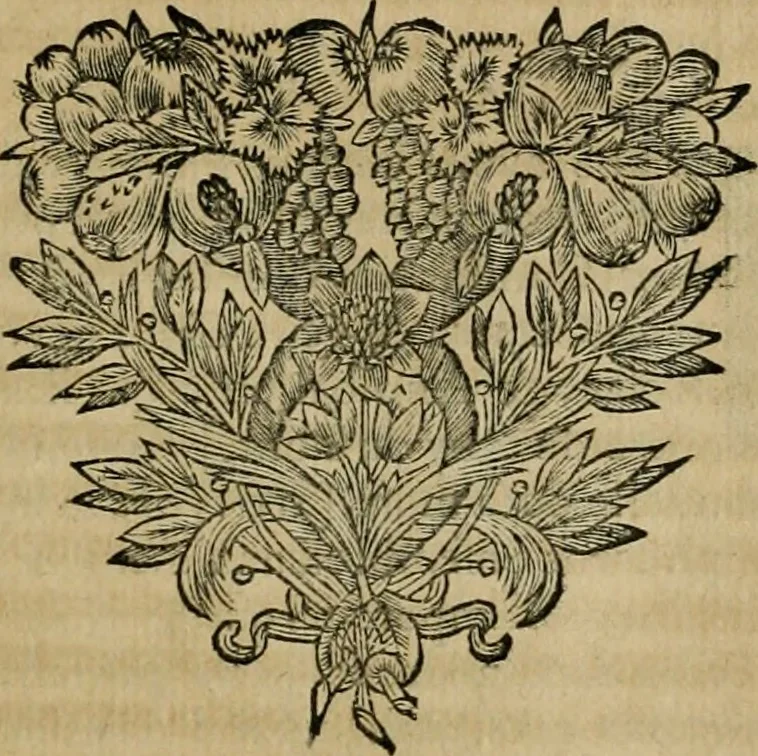 An illustration from Histoire des empereurs, et des autres princes qui ont regné durant les six premiers siècles de l'église, de leurs guerres contre les Juifs, des écrivains profanes, & des personnes les plus illustrés de leur temps Justifiée par les citations des auteurs originaux; avec des notes pour éclaircir les principales difficultés de l'histoire, 1700, leaf 348
