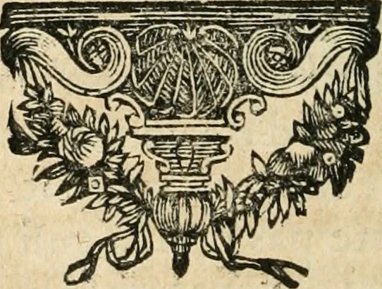 An illustration from Histoire des empereurs, et des autres princes qui ont regné durant les six premiers siècles de l'église, de leurs guerres contre les Juifs, des écrivains profanes, & des personnes les plus illustrés de leur temps Justifiée par les citations des auteurs originaux; avec des notes pour éclaircir les principales difficultés de l'histoire, 1700, leaf 113