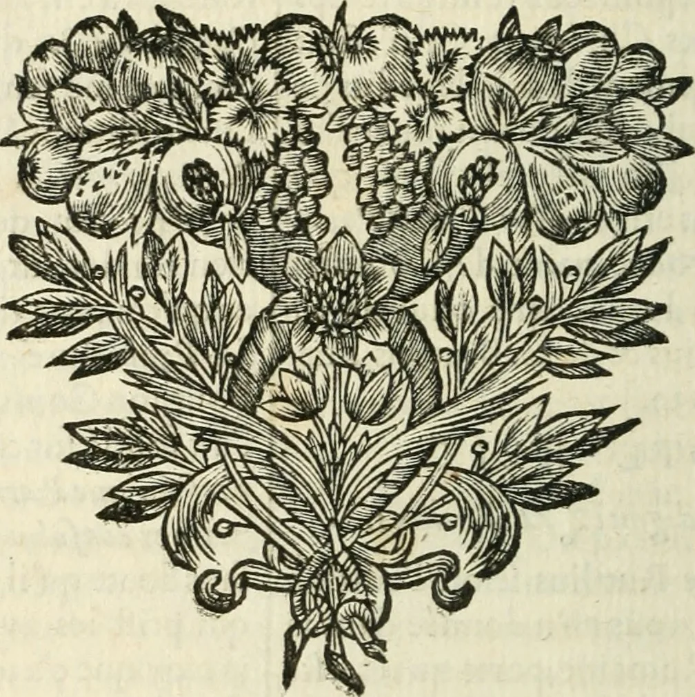 An illustration from Histoire des empereurs, et des autres princes qui ont regné durant les six premiers siècles de l'église, de leurs guerres contre les Juifs, des écrivains profanes, & des personnes les plus illustrés de leur temps Justifiée par les citations des auteurs originaux; avec des notes pour éclaircir les principales difficultés de l'histoire, 1700, leaf 865