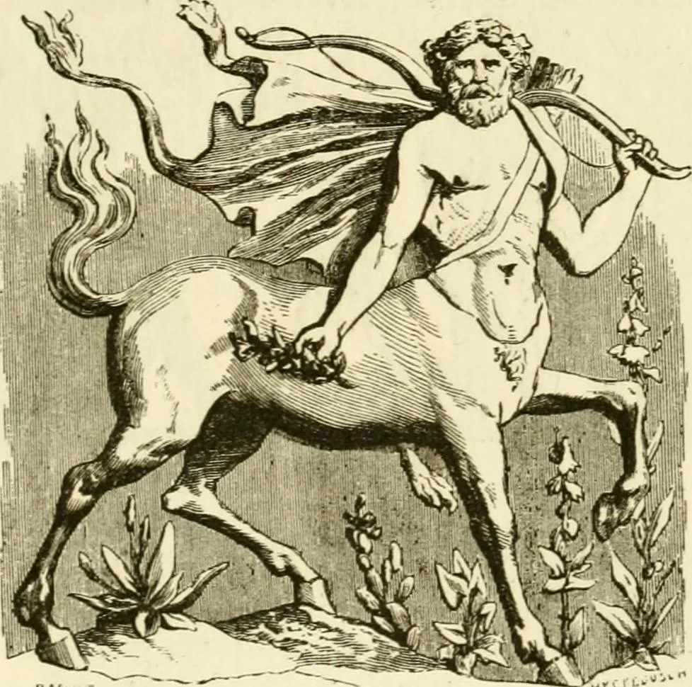 An illustration from Histoire des enseignes de Paris. Revue et publiée par le Bibliophile Jacob [pseud.] avec un appendice par J. Cousin.., 1884, leaf 104