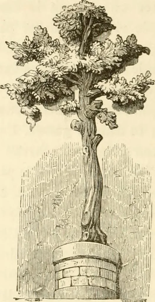 An illustration from Histoire des enseignes de Paris. Revue et publiée par le Bibliophile Jacob [pseud.] avec un appendice par J. Cousin.., 1884, leaf 231
