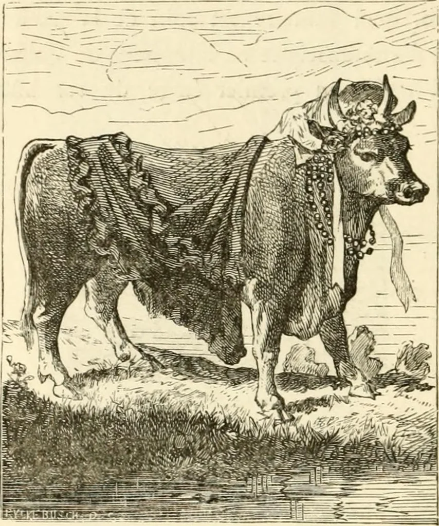 An illustration from Histoire des enseignes de Paris. Revue et publiée par le Bibliophile Jacob [pseud.] avec un appendice par J. Cousin.., 1884, leaf 431
