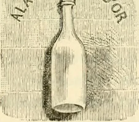 An illustration from Histoire des enseignes de Paris. Revue et publiée par le Bibliophile Jacob [pseud.] avec un appendice par J. Cousin.., 1884, leaf 456
