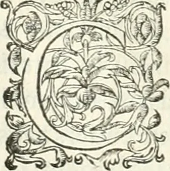 An illustration from Histoire des hommes illvstres de la maison de Medici : avec vn abbrege des comtes de Bolongne et d'Avvergne, 1564, leaf 103