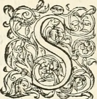 An illustration from Histoire des hommes illvstres de la maison de Medici : avec vn abbrege des comtes de Bolongne et d'Avvergne, 1564, leaf 13