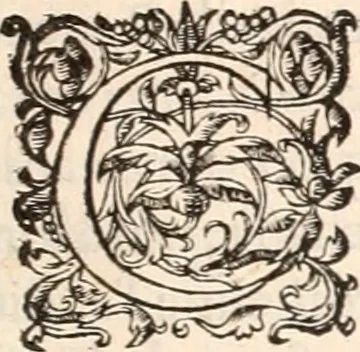 An illustration from Histoire des hommes illvstres de la maison de Medici : avec vn abbrege des comtes de Bolongne et d'Avvergne, 1564, leaf 18
