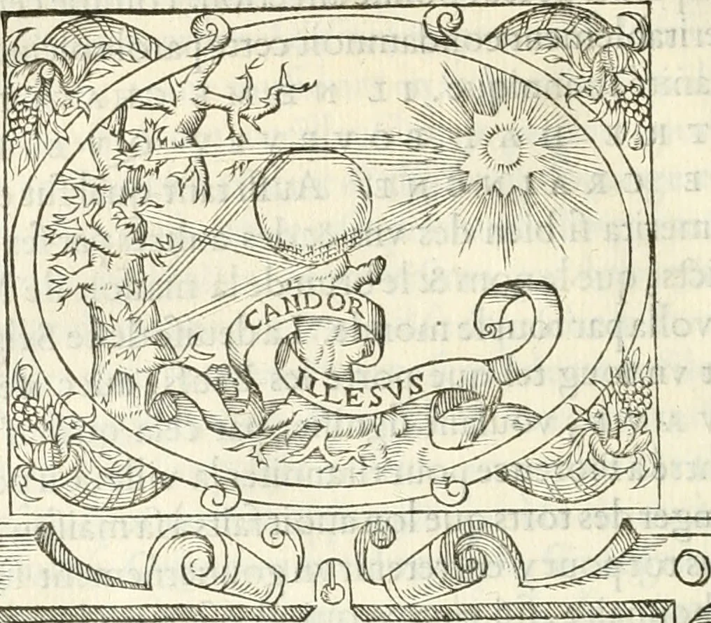 An illustration from Histoire des hommes illvstres de la maison de Medici : avec vn abbrege des comtes de Bolongne et d'Avvergne, 1564, leaf 309