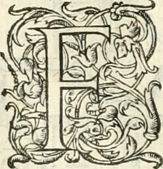 An illustration from Histoire des hommes illvstres de la maison de Medici : avec vn abbrege des comtes de Bolongne et d'Avvergne, 1564, leaf 365