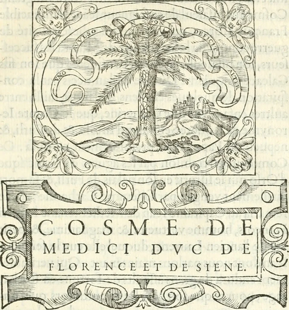 An illustration from Histoire des hommes illvstres de la maison de Medici : avec vn abbrege des comtes de Bolongne et d'Avvergne, 1564, leaf 408