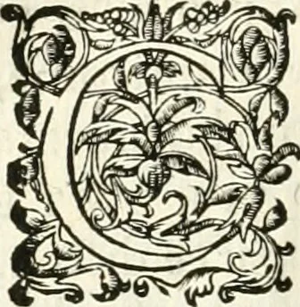 An illustration from Histoire des hommes illvstres de la maison de Medici : avec vn abbrege des comtes de Bolongne et d'Avvergne, 1564, leaf 459