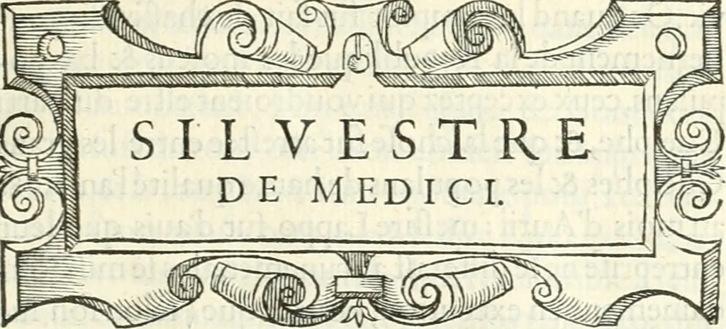 An illustration from Histoire des hommes illvstres de la maison de Medici : avec vn abbrege des comtes de Bolongne et d'Avvergne, 1564, leaf 52
