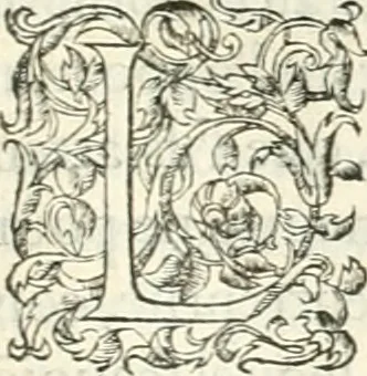 An illustration from Histoire des hommes illvstres de la maison de Medici : avec vn abbrege des comtes de Bolongne et d'Avvergne, 1564, leaf 52