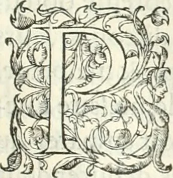 An illustration from Histoire des hommes illvstres de la maison de Medici : avec vn abbrege des comtes de Bolongne et d'Avvergne, 1564, leaf 80