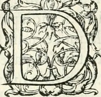 An illustration from Histoire des hommes illvstres de la maison de Medici : avec vn abbrege des comtes de Bolongne et d'Avvergne, 1564, leaf 91