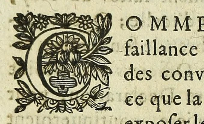 An illustration from Histoire des mouvemens de Bourdeaux, 1651, leaf 272