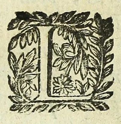 An illustration from Histoire des mouvemens de Bourdeaux, 1651, leaf 288