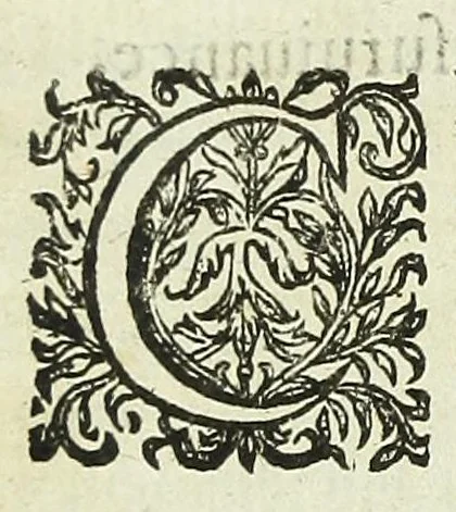 An illustration from Histoire des mouvemens de Bourdeaux, 1651, leaf 30