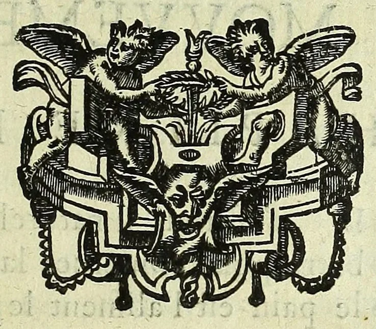 An illustration from Histoire des mouvemens de Bourdeaux, 1651, leaf 41
