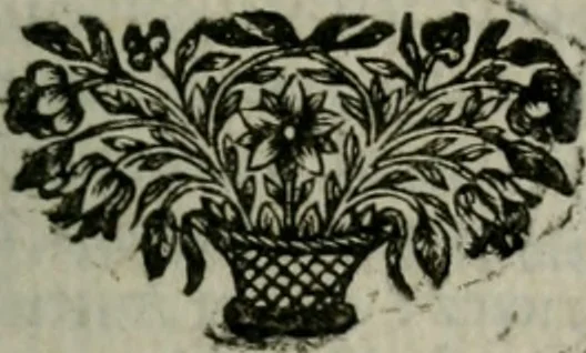 An illustration from Histoire des plantes qui naissent aux environs de Paris, avec leur usage dans la medecine, 1698, leaf 104
