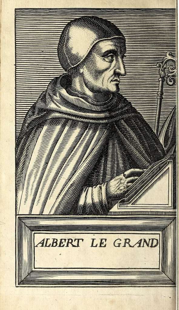 An illustration from Histoire des plus illustres et scavans hommes de leurs siecles : tant de l'Europe que de l'Asie, Afrique & Amerique : avec leurs portraits en tailles-douces, tirez sur les veritables originaux, 1670, leaf 114