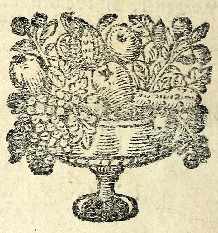 An illustration from Histoire des plus illustres et scavans hommes de leurs siecles : tant de l'Europe que de l'Asie, Afrique & Amerique : avec leurs portraits en tailles-douces, tirez sur les veritables originaux, 1670, leaf 378