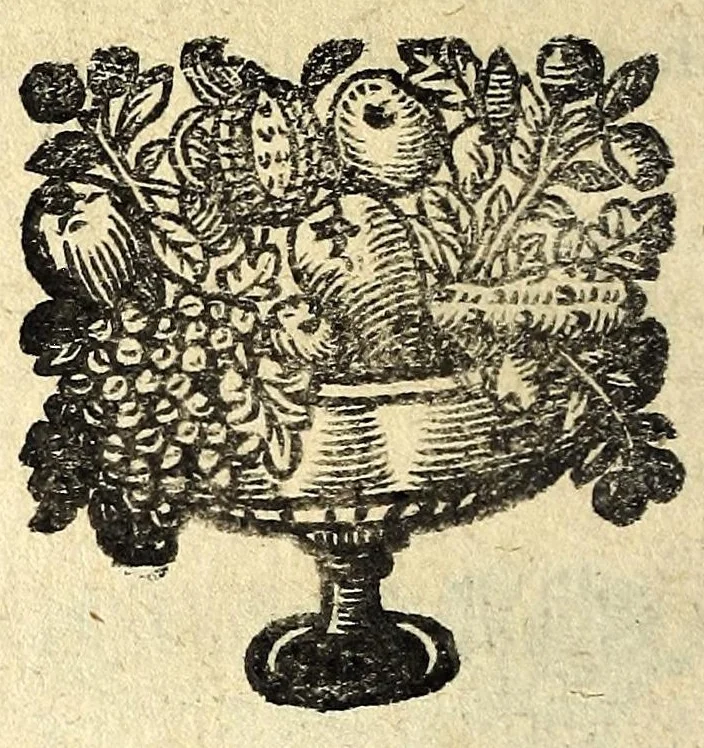 An illustration from Histoire des plus illustres et scavans hommes de leurs siecles : tant de l'Europe que de l'Asie, Afrique & Amerique : avec leurs portraits en tailles-douces, tirez sur les veritables originaux, 1670, leaf 108