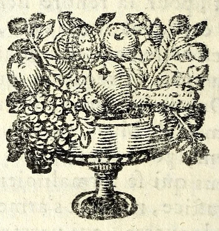 An illustration from Histoire des plus illustres et scavans hommes de leurs siecles : tant de l'Europe que de l'Asie, Afrique & Amerique : avec leurs portraits en tailles-douces, tirez sur les veritables originaux, 1670, leaf 188