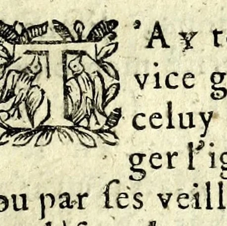 An illustration from Histoire des plus illustres et scavans hommes de leurs siecles : tant de l'Europe que de l'Asie, Afrique & Amerique : avec leurs portraits en tailles-douces, tirez sur les veritables originaux, 1670, leaf 207