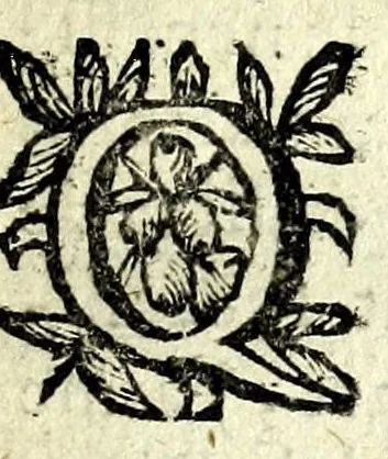 An illustration from Histoire des plus illustres et scavans hommes de leurs siecles : tant de l'Europe que de l'Asie, Afrique & Amerique : avec leurs portraits en tailles-douces, tirez sur les veritables originaux, 1670, leaf 239