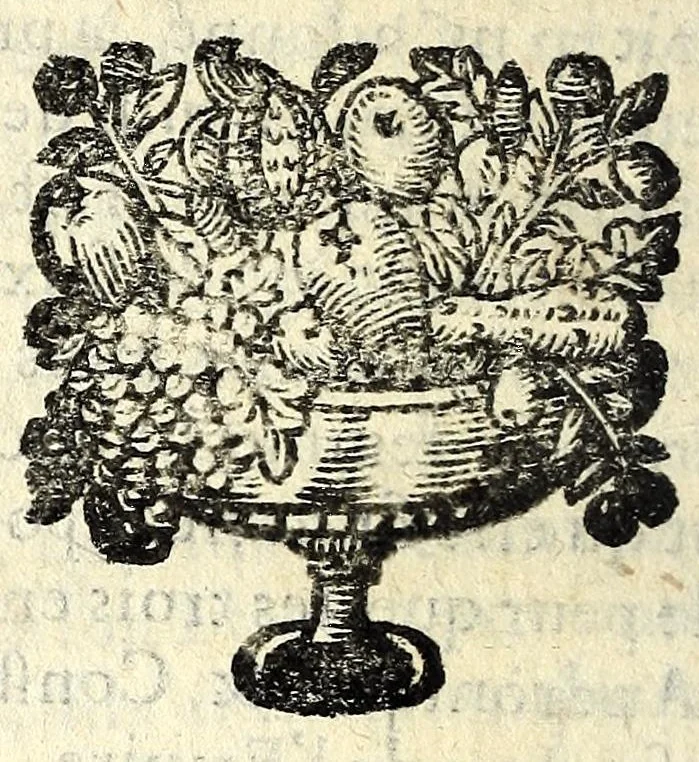 An illustration from Histoire des plus illustres et scavans hommes de leurs siecles : tant de l'Europe que de l'Asie, Afrique & Amerique : avec leurs portraits en tailles-douces, tirez sur les veritables originaux, 1670, leaf 252