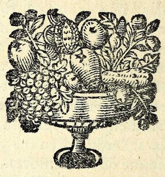 An illustration from Histoire des plus illustres et scavans hommes de leurs siecles : tant de l'Europe que de l'Asie, Afrique & Amerique : avec leurs portraits en tailles-douces, tirez sur les veritables originaux, 1670, leaf 104