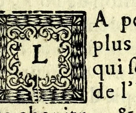 An illustration from Histoire des plus illustres et scavans hommes de leurs siecles : tant de l'Europe que de l'Asie, Afrique & Amerique : avec leurs portraits en tailles-douces, tirez sur les veritables originaux, 1670, leaf 107