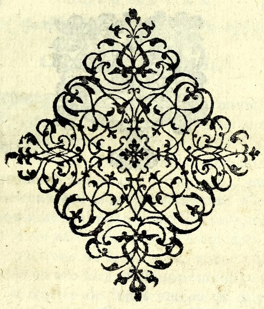 An illustration from Histoire des plus illustres et scavans hommes de leurs siecles : tant de l'Europe que de l'Asie, Afrique & Amerique : avec leurs portraits en tailles-douces, tirez sur les veritables originaux, 1670, leaf 211