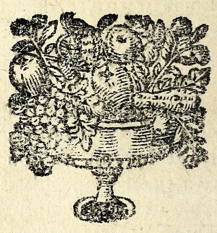 An illustration from Histoire des plus illustres et scavans hommes de leurs siecles : tant de l'Europe que de l'Asie, Afrique & Amerique : avec leurs portraits en tailles-douces, tirez sur les veritables originaux, 1670, leaf 446