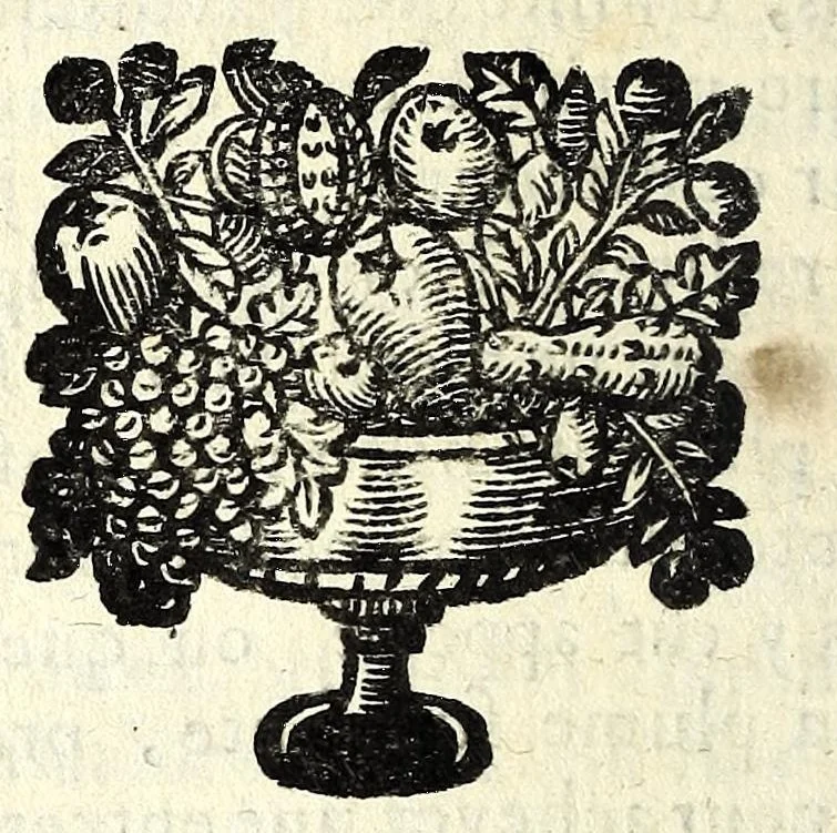 An illustration from Histoire des plus illustres et scavans hommes de leurs siecles : tant de l'Europe que de l'Asie, Afrique & Amerique : avec leurs portraits en tailles-douces, tirez sur les veritables originaux, 1670, leaf 88