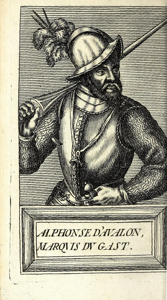 An illustration from Histoire des plus illustres et scavans hommes de leurs siecles : tant de l'Europe que de l'Asie, Afrique & Amerique : avec leurs portraits en tailles-douces, tirez sur les veritables originaux, 1670, leaf 222