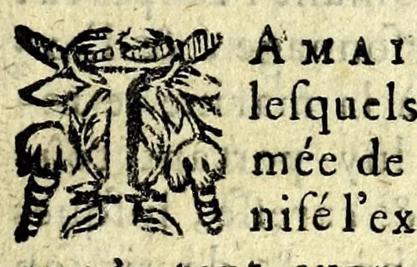 An illustration from Histoire des plus illustres et scavans hommes de leurs siecles : tant de l'Europe que de l'Asie, Afrique & Amerique : avec leurs portraits en tailles-douces, tirez sur les veritables originaux, 1670, leaf 257