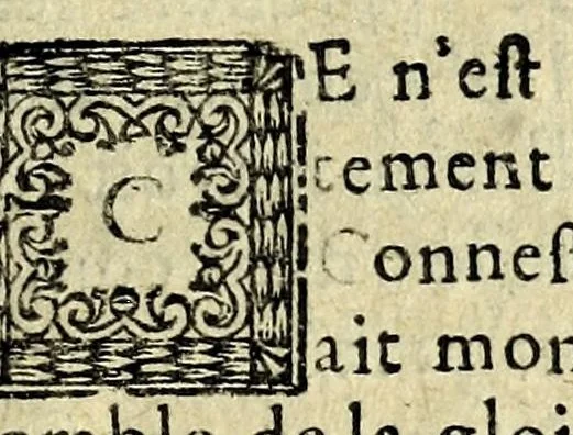 An illustration from Histoire des plus illustres et scavans hommes de leurs siecles : tant de l'Europe que de l'Asie, Afrique & Amerique : avec leurs portraits en tailles-douces, tirez sur les veritables originaux, 1670, leaf 431