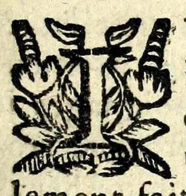 An illustration from Histoire des plus illustres et scavans hommes de leurs siecles : tant de l'Europe que de l'Asie, Afrique & Amerique : avec leurs portraits en tailles-douces, tirez sur les veritables originaux, 1670, leaf 45