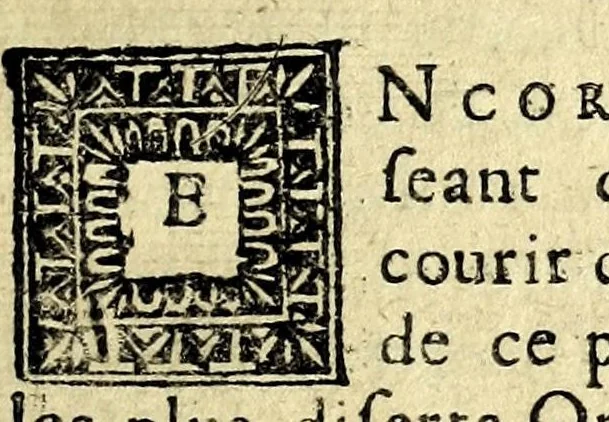 An illustration from Histoire des plus illustres et scavans hommes de leurs siecles : tant de l'Europe que de l'Asie, Afrique & Amerique : avec leurs portraits en tailles-douces, tirez sur les veritables originaux, 1670, leaf 315