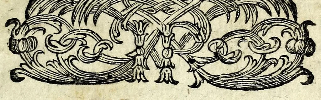 An illustration from Histoire des plus illustres et scavans hommes de leurs siecles : tant de l'Europe que de l'Asie, Afrique & Amerique : avec leurs portraits en tailles-douces, tirez sur les veritables originaux, 1670, leaf 11